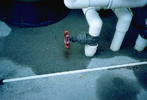 Leak in the plumbing system